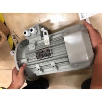 法國LAMMERS電機(jī) 7AA 63 M02k型號(hào)參數(shù)