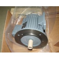 優(yōu)勢(shì)供應(yīng)VEM異步電機(jī)