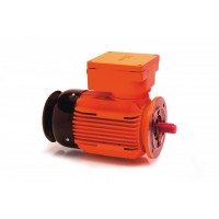 HEW 防爆三相電機(jī)4極類(lèi)型產(chǎn)品介紹