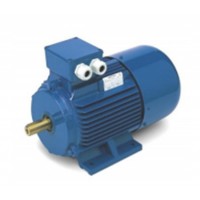 OEMER 電機QCCAS100L系列技術(shù)參數(shù)