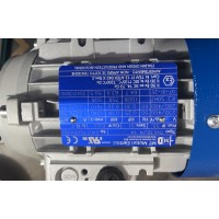 意大利M.T. Motori 電機(jī)TFP71B交流電運(yùn)行 帶有雙制動(dòng)面盤(pán)