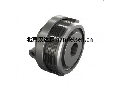 意大利 Transfluid RBD 6S 聯(lián)軸器 柔性減震適用于工業(yè)傳動(dòng)