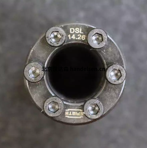 DSM-1